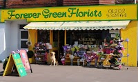 Forever Green Florist and Gifts 281968 Image 2